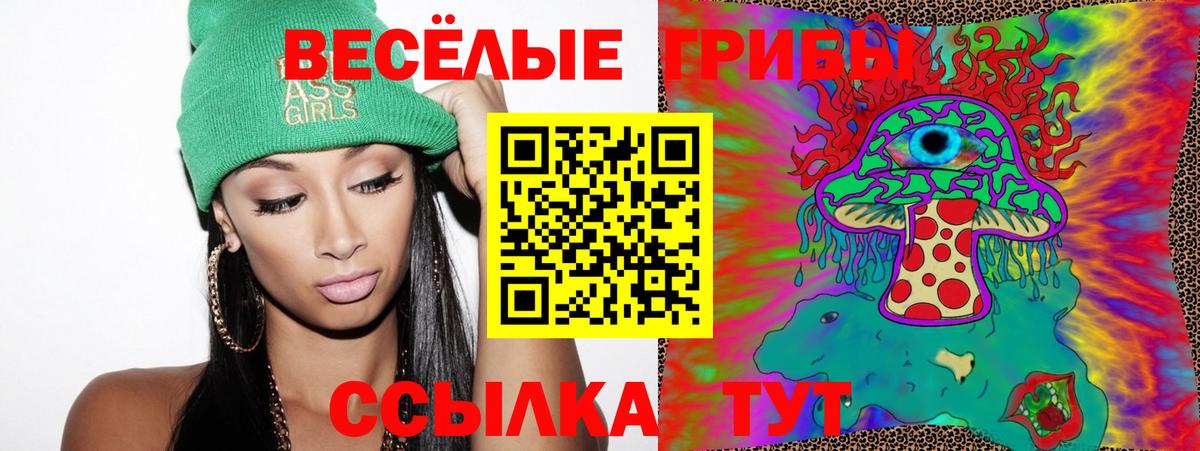 Галлюциногенные грибы Cubensis Качканар
